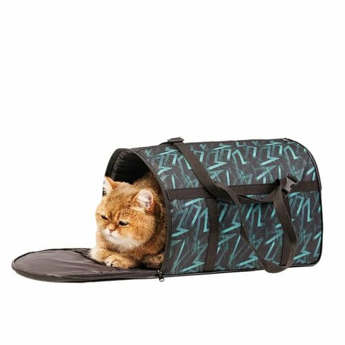 pet hobby сумка для лакомств и аксессуаров для кошек и собак профи 48х35х13 см Pet Hobby Сумка-переноска для кошек и собак, 36х22х23 см