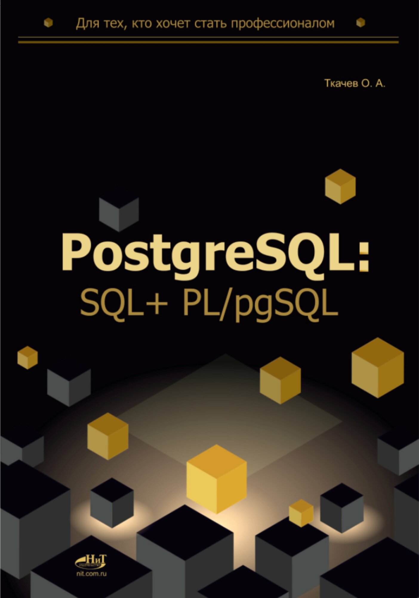 PostgreSQL: SQL + PL/pgSQL для тех, кто хочет стать профессионалом - фото №1
