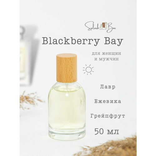 Blackberry Bay духи стойкие духи масляные по мотивам blackberry bay еживика и лавр парфюм женские