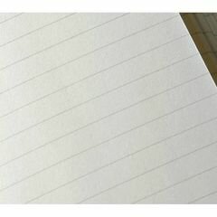 Блокнот Moleskine CLASSIC SOFT XLarge 190х250мм 192стр. линейка мягкая обложка зеленый 6 шт./кор. - фото №6
