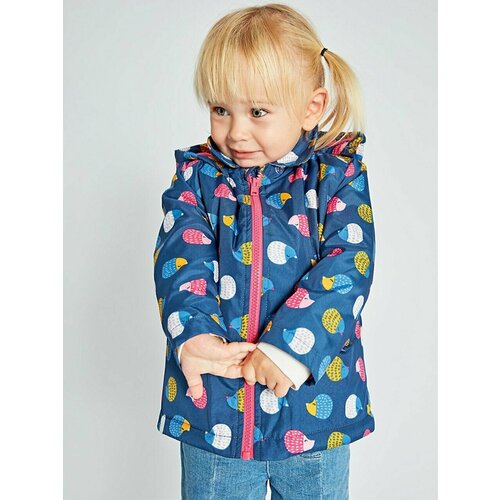 фото Куртка isobel, размер 5 лет, синий, фуксия