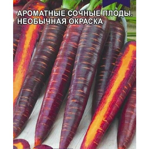 Коллекционные семена моркови Чурчхела Фиолетовая