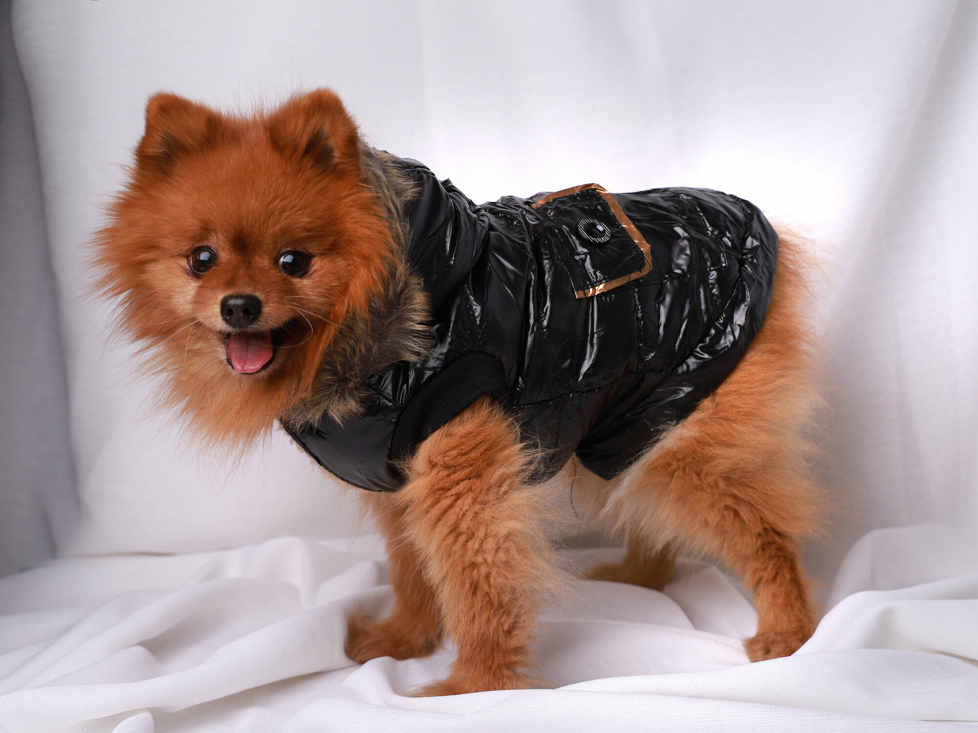 Куртка для собак черного цвета (размер M ) - фотография № 1