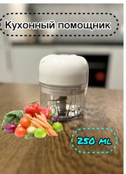 Измельчитель электрический кухонный, овощерезка электрическая, мини блендер/ чаша 25о мл/ для мяса, овощей, фруктов белая