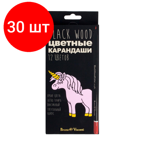 Комплект 30 наб, Карандаши цветные пластиковые BlackWoodColor , 12цв, 30-0097 карандаши brunovisconti цветные 12 цветов 4 вида blackwoodcolor арт 30 0097 упаковка в ассортименте