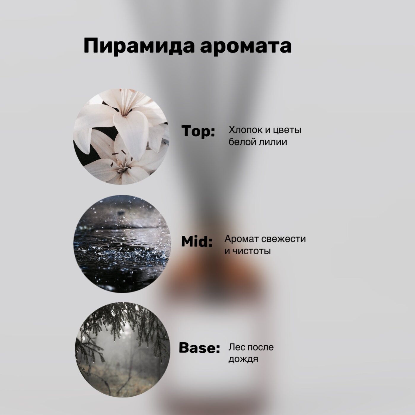 Диффузор для дома, ароматизатор 100 мл. — фото 1