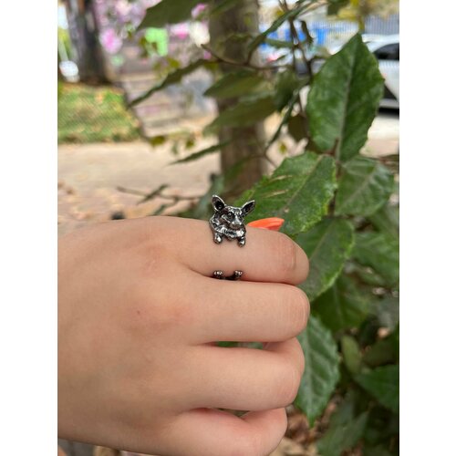 фото Кольцо, серебряный нет бренда