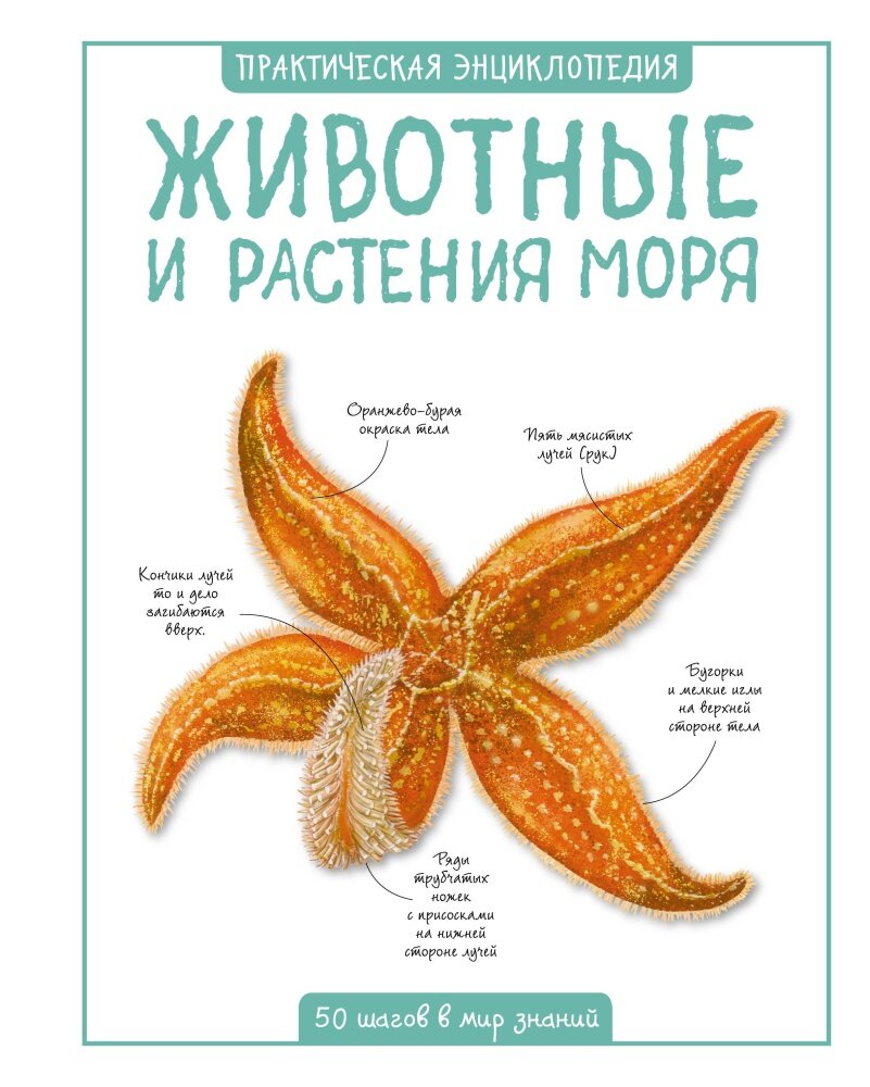 Животные и растения моря (Бедуайер К.)