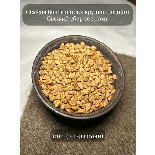 Семена Боярышника крупноплодного, 10 грамм (примерно 170 шт)