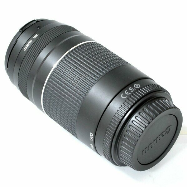 Canon EF 75-300mm f/4-5.6 III