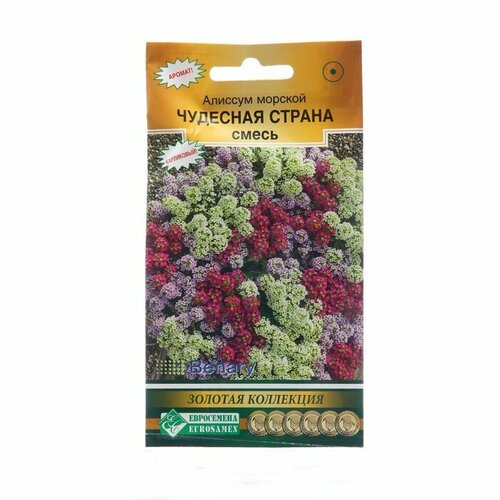 комплект чудесная страна осень Семена цветов Алиссум морской Чудесная Страна драже, 10 шт (комплект из 21 шт)