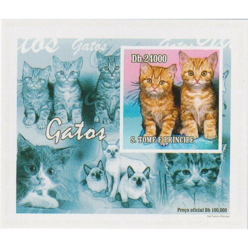Почтовые марки Сан-Томе и Принсипи 2010г. Котята Кошки MNH