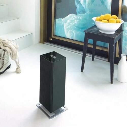 Тепловентилятор Stadler Form Anna Big A-060061 25 м black 1199900₽