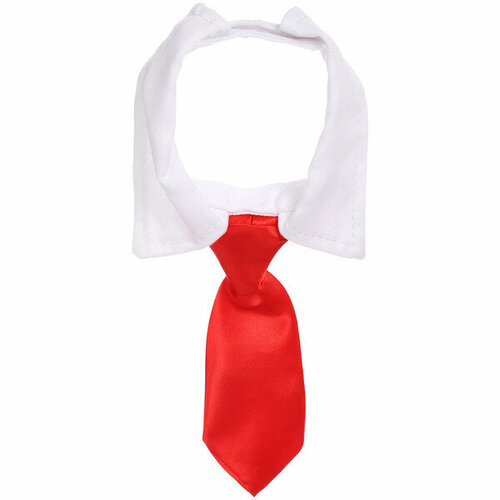 Ошейник - галстук для животных на липучке «модный БРО», цвет красный, размер S (12*31см)