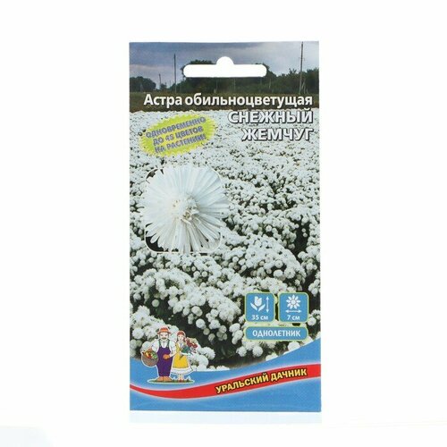 Семена Цветов Астра обильноцветущая Снежный жемчуг , 0 ,25 г астра хризантелла снежный восторг 0 05 г н20