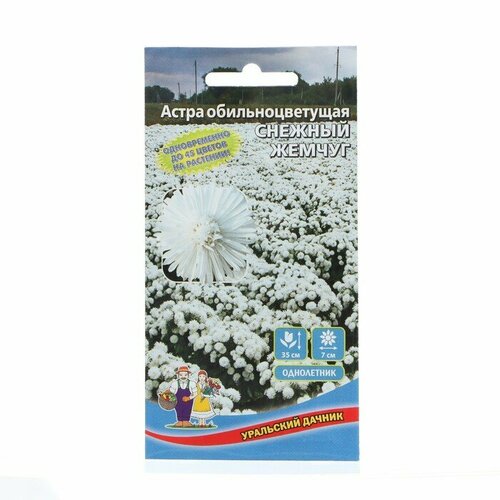 Семена Цветов Астра обильноцветущая Снежный жемчуг , 0 ,25 г астра жемчуг 0 2 гр