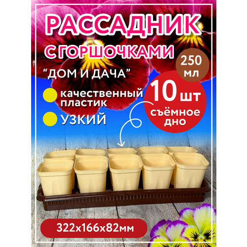 Рассадник на 10 стаканчиков (горшочков) с поддоном, шоколадный