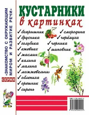 Кустарники в картинках. Наглядное пособие для педагогов, логопедов, воспитателей и родителей (приложение к пособию Шорыгиной Т. А. "Кустарники. Какие они?") Гном