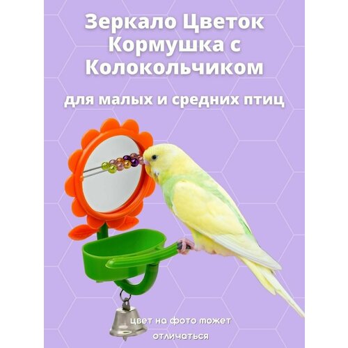 Игрушка для птиц/попугаев Цветок с Зеркалом, счетами и кормушкой
