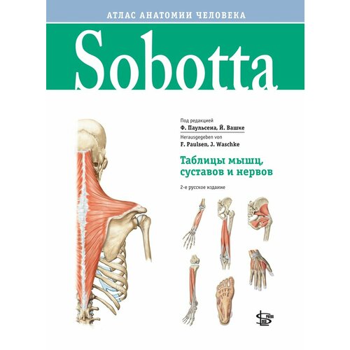 Sobotta. Таблицы мышц, суставов и нервов. Приложение к Sobotta. Атлас анатомии человека / под ред. Ф. Паульсен, Й. Вашке.- 2 изд.- М. : Логосфера, 2022