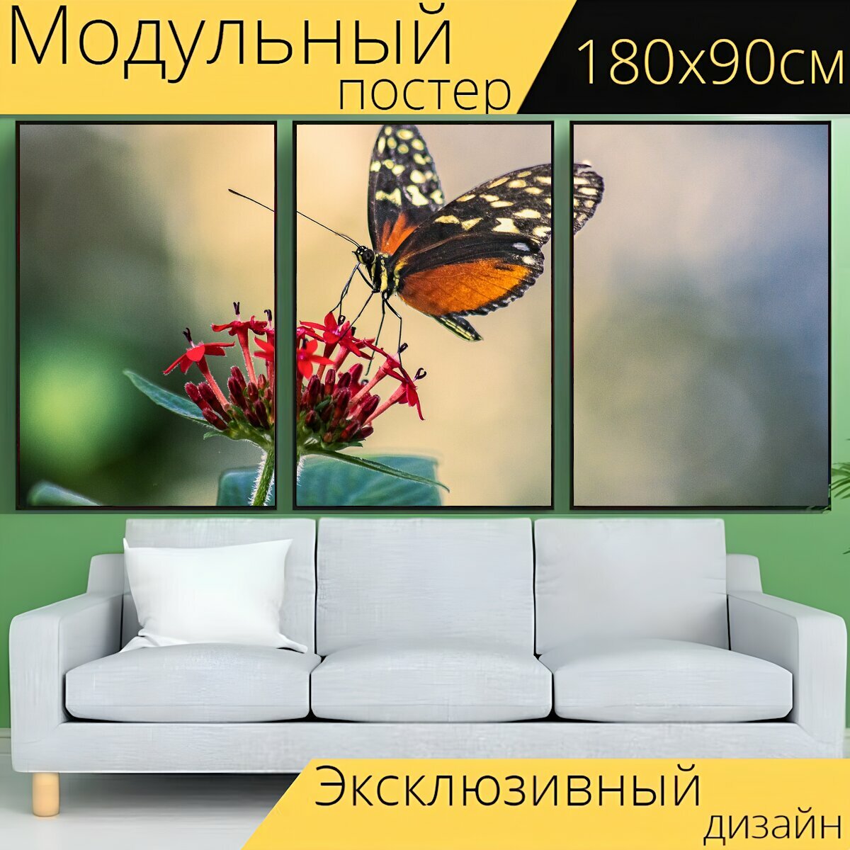 Модульный постер "Бабочка, насекомое, крылья" 180 x 90 см. для интерьера