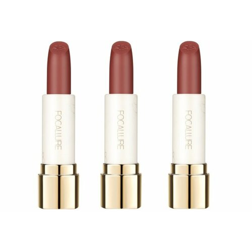 Помада для губ Focallure, Pure Matte Lipstick, тон RD01, 3,7 гр, 3 шт