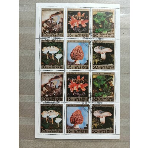 Марки Корея Северная,1986. Большой Лист: грибы. Гашение. UNC