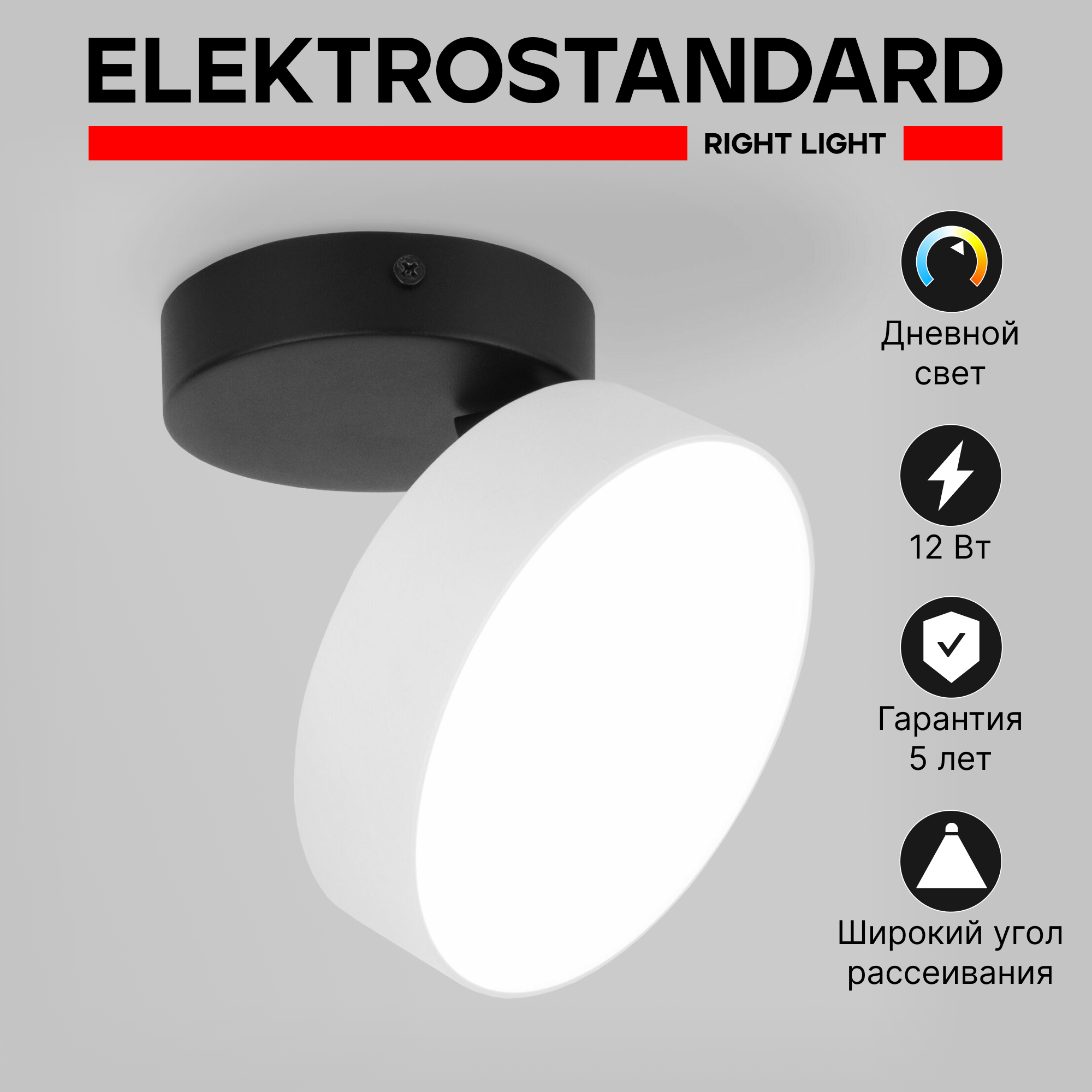 Спот / Накладной светодиодный светильник с поворотным плафоном Elektrostandard Pila 25135/LED, 12 Вт, 4200К, цвет белый