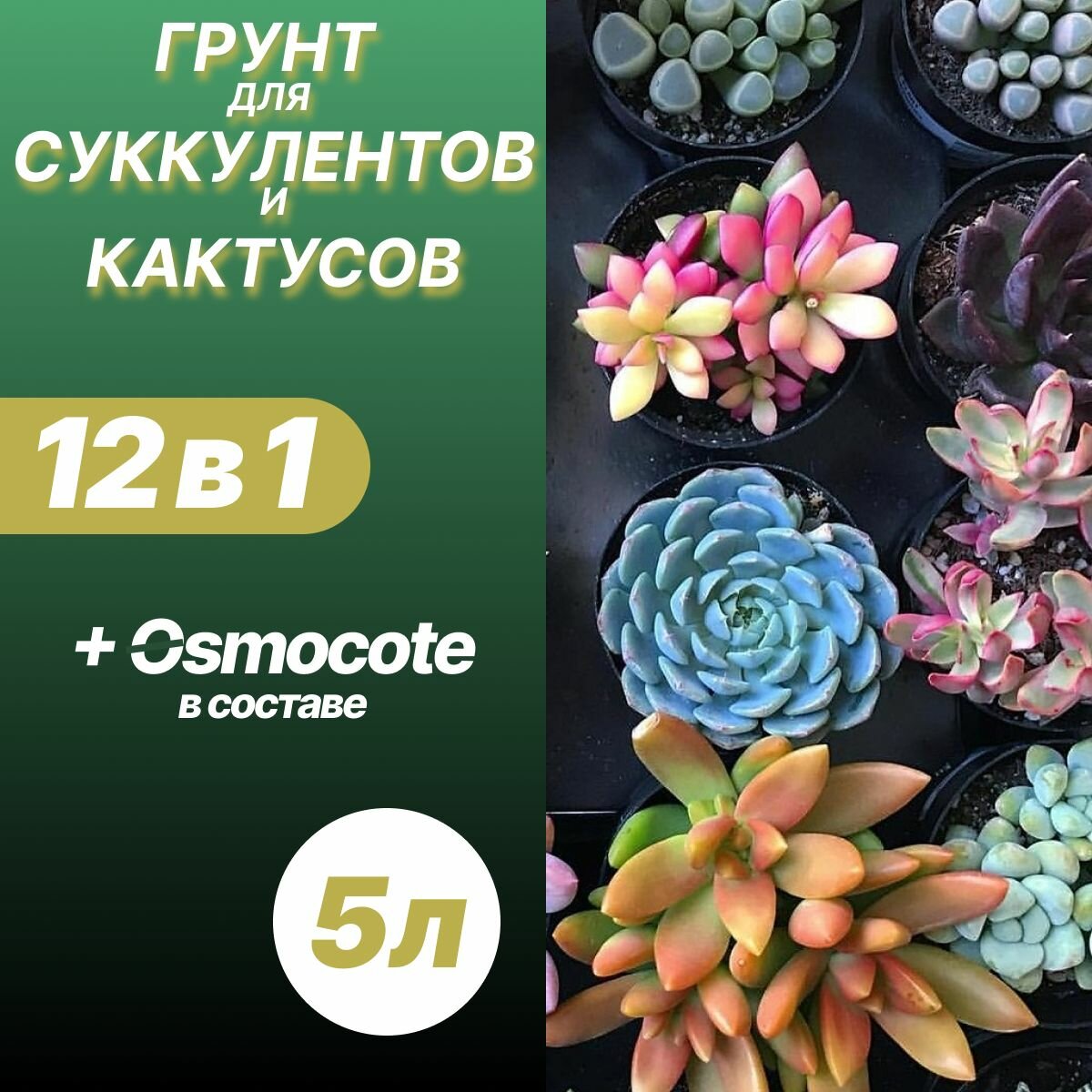 Грунт для кактусов и суккулентов 5л / Бионика