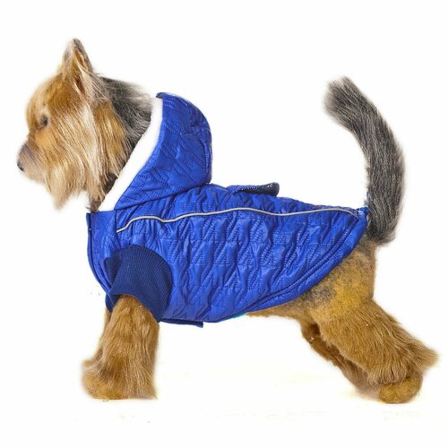 Куртка для собак Happy Puppy Синий иней 2 Синий майка для собак happy puppy карамель 2 24см