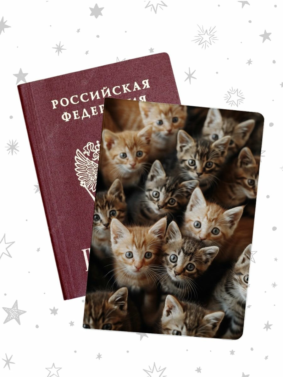 Обложка для паспорта pass-199 