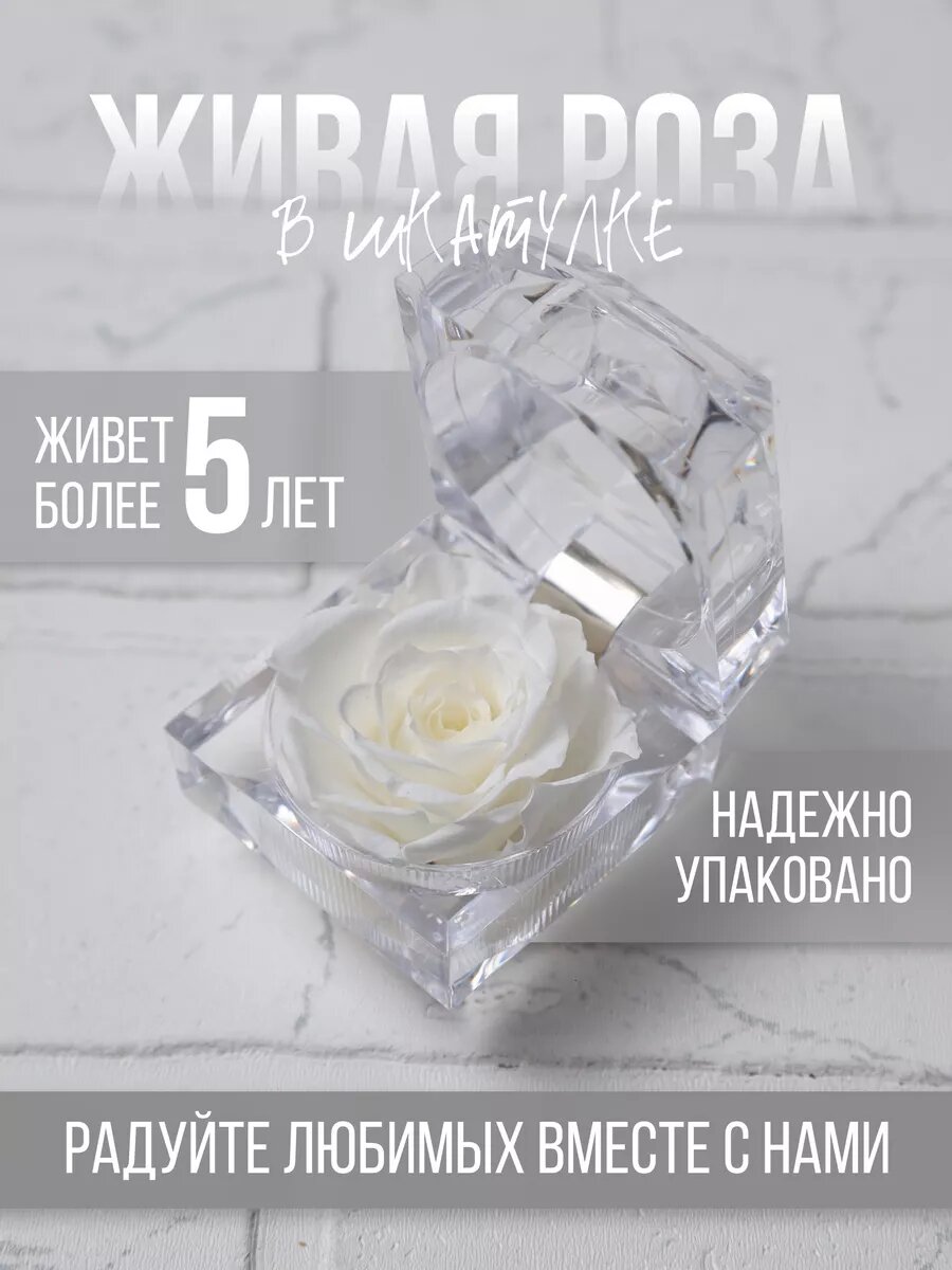 Вечная живая роза в колбе шкатулке