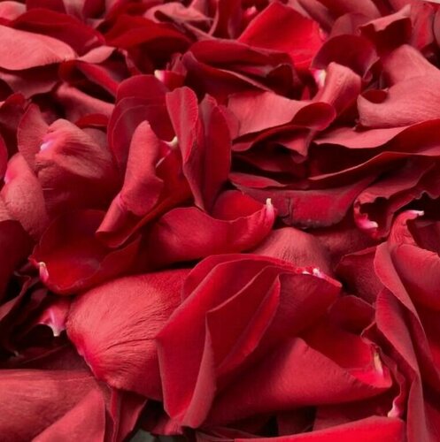 Изображение товара Лепестки роз "NURA FLOWERS" 10 л, свежие, без стеблей, красные, белые, 21 шт