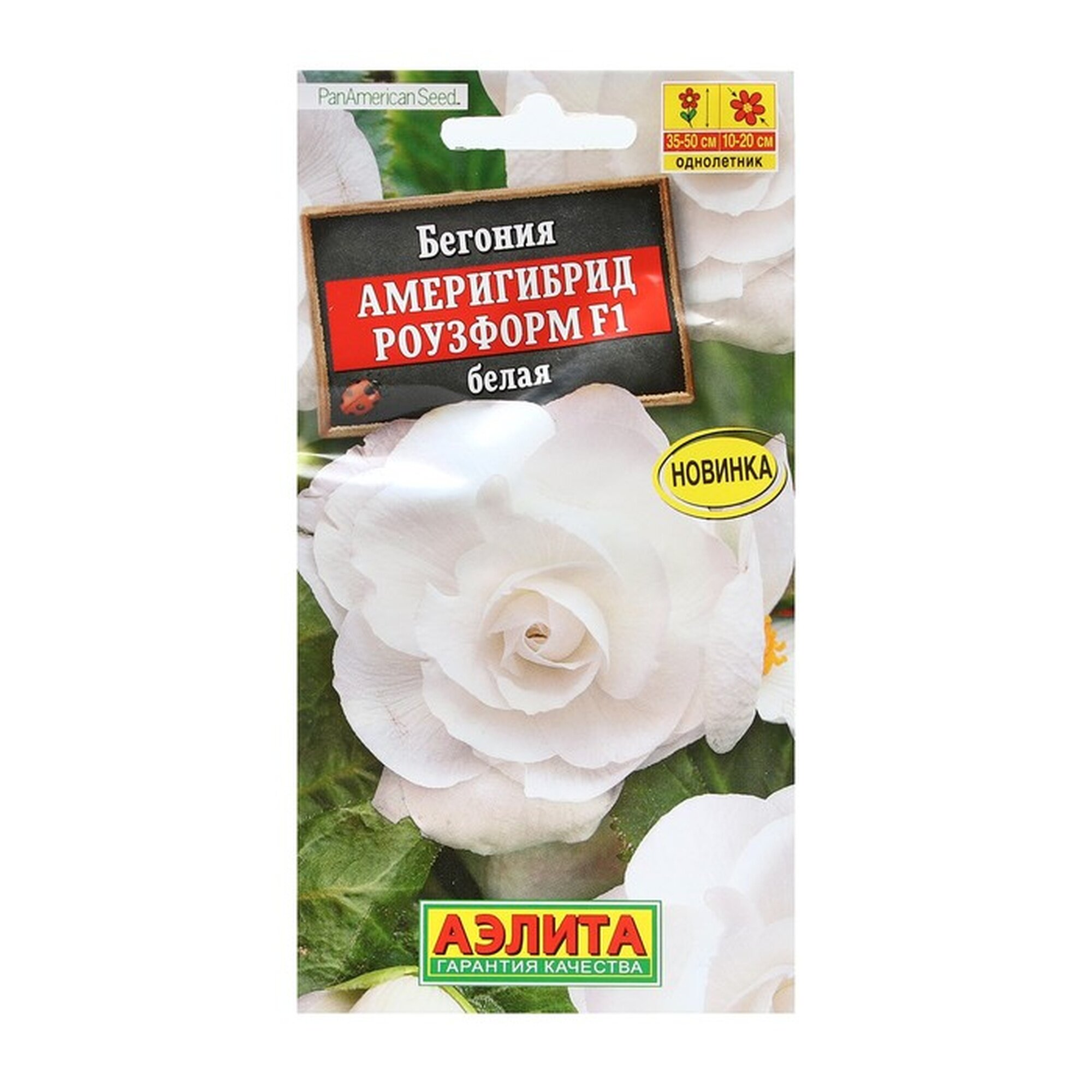 Семена Цветов Бегония 