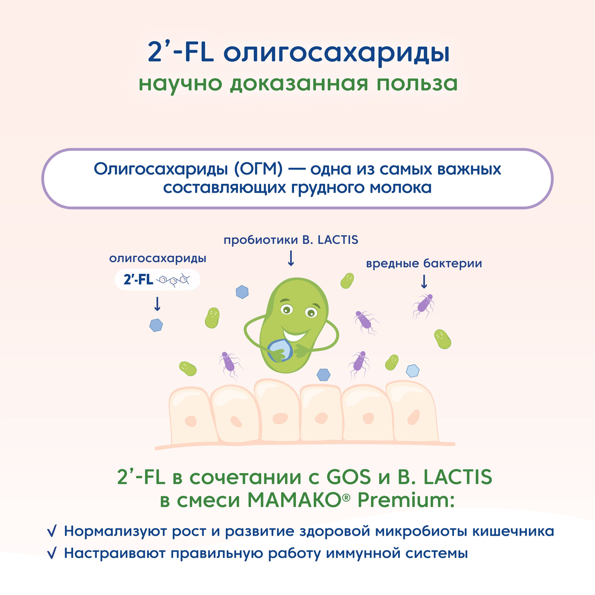 Смесь Мамако 2 Premium Молочная на основе козьего молока с 6 месяцев 800г Industrias Lacteas Asturianas S.A. - фото №5