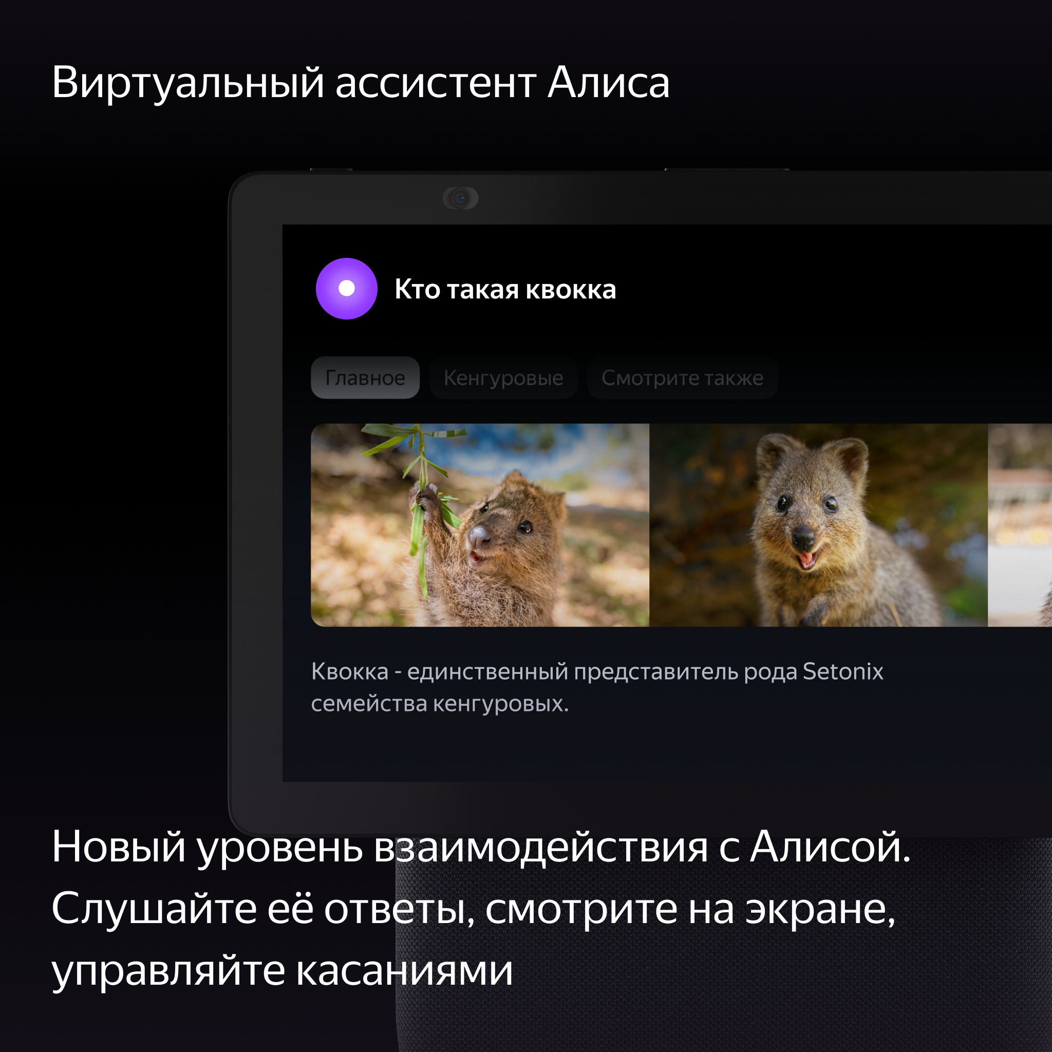 Умная колонка Yandex - фото №6