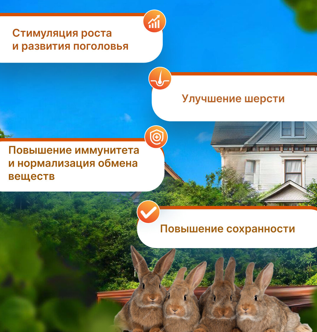 Картинки Добавка Минерально-витаминный комплекс тоник трибиоформ для кроликов, зайцев и крольчат 100 мл.