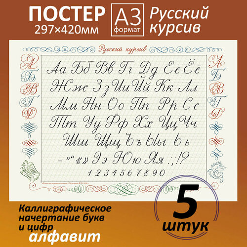 Каллиграфический алфавит. Азбука русского курсива. Все буквы и цифры Плакат/постер (А3)
