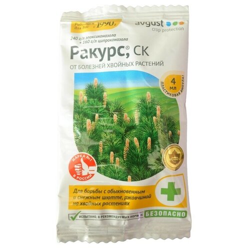 Ракурс ракурс