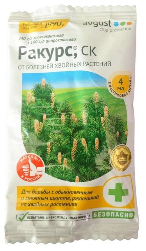 Ракурс