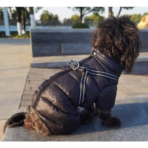 Комбинезон для собак мелких пород Arnydog "Шлейка" черный, XL(16) 32-35 см