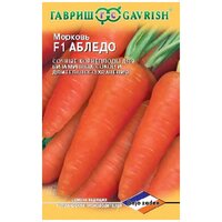 Описание внешнего вида