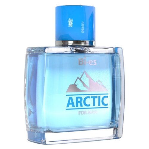 туалетная вода для мужчин bi es man fresh 100 мл Bi-Es туалетная вода Arctic For Men, 100 мл