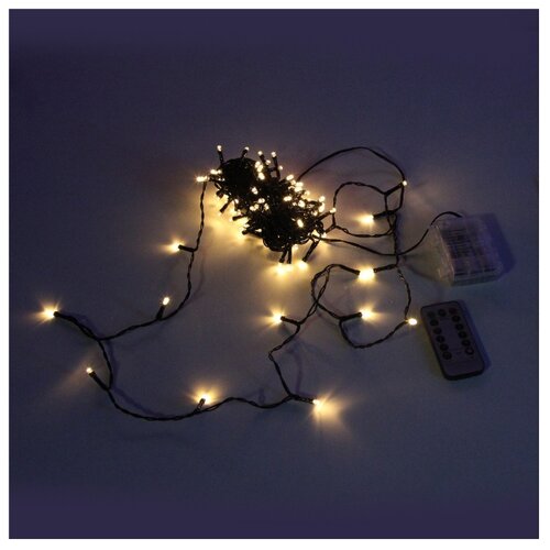 фото Гирлянда sh lights 1200 см