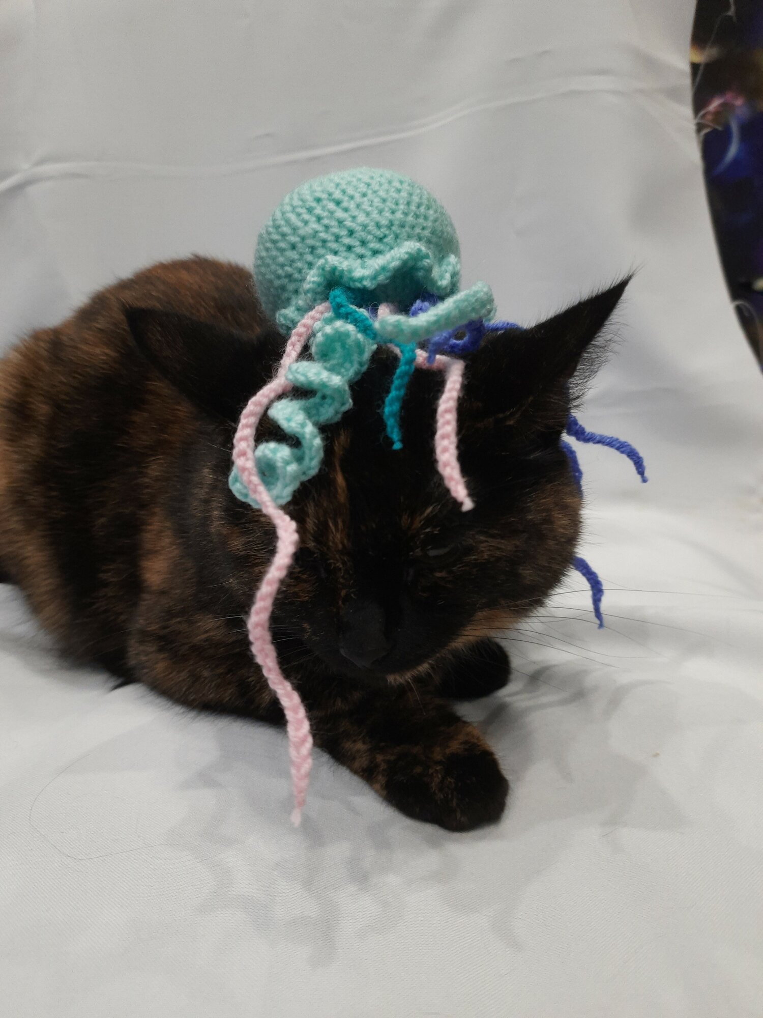 Медуза с кошачьей мятой, игрушка для кошек и собак мелких пород, дразнилка - фотография № 2