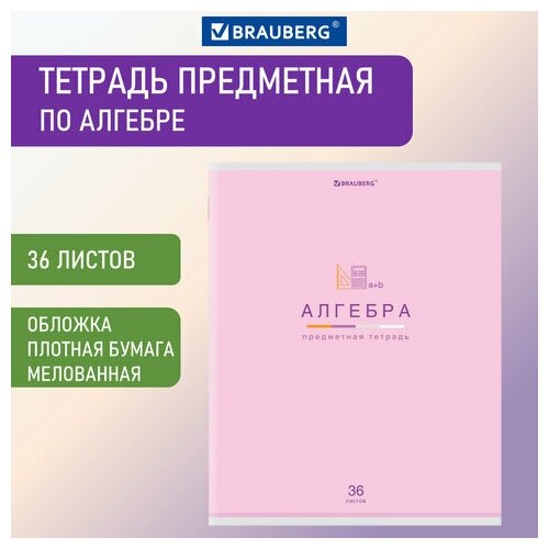 Тетрадь предметная МИР знаний 36 л. обложка мелованная бумага алгебра клетка BRAUBERG, 24 шт