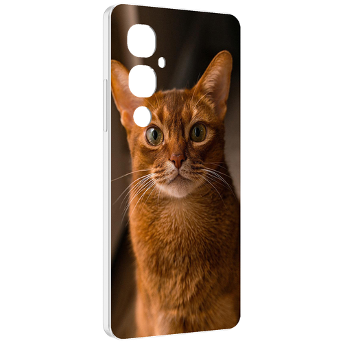 Чехол MyPads порода кошки абисинская для Tecno Pova 4 Pro задняя-панель-накладка-бампер