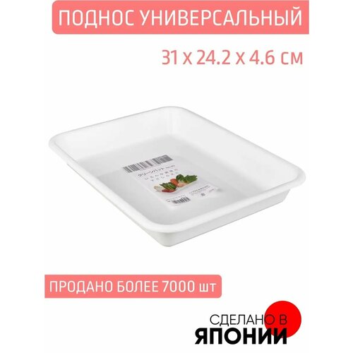 фото Поднос для организации пространства 31х24.2х4.6 см inomata