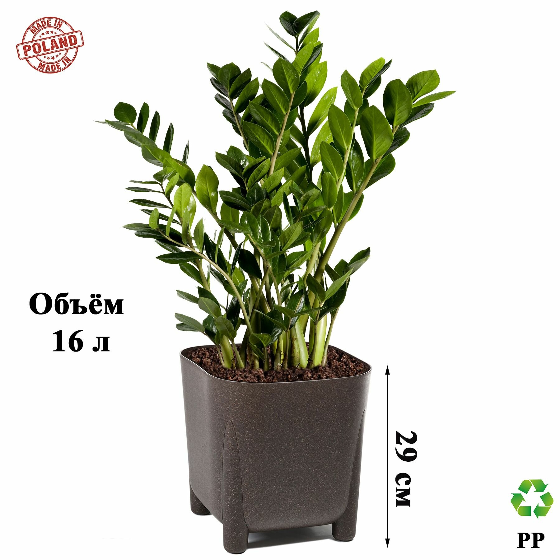 фото Большой горшок для цветов, кашпо напольное высокое на ножках для растений - замиокулькас, фикус, пальма.