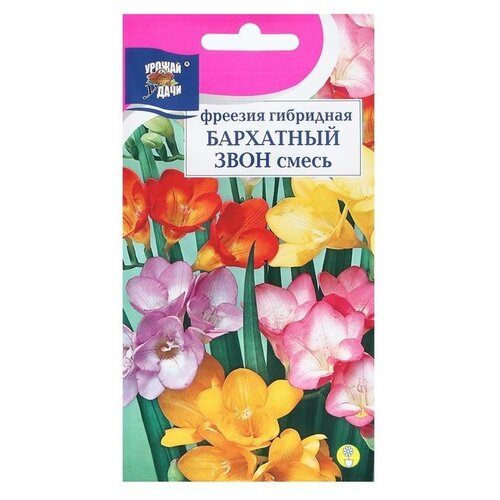 Семена цветов ТероПром 9338663 Фрезия гибридная "бархатный звон", смесь, 0,04 г